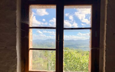 La SEO non è solo farsi trovare: è farsi capire