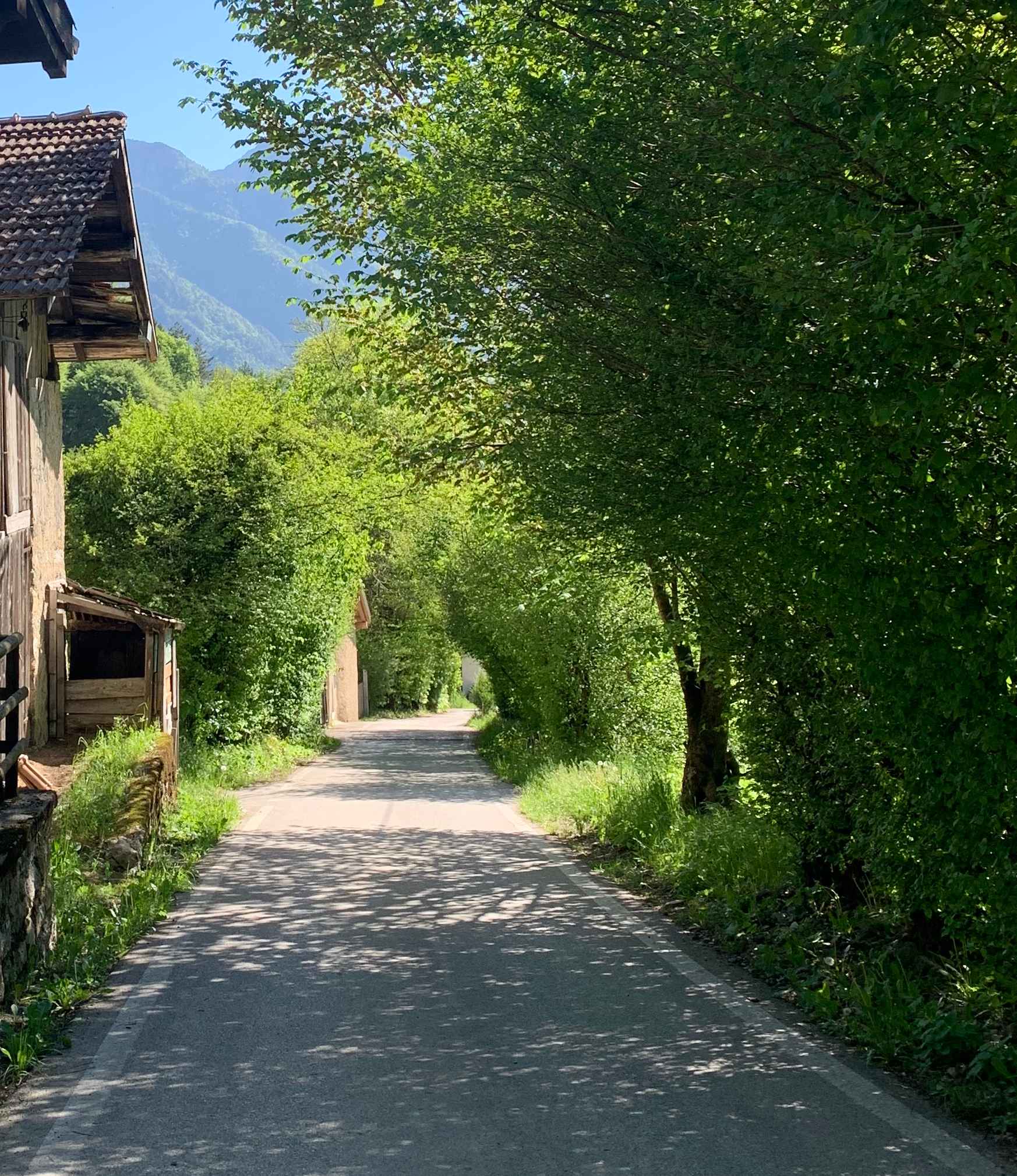 strada montagna 3
